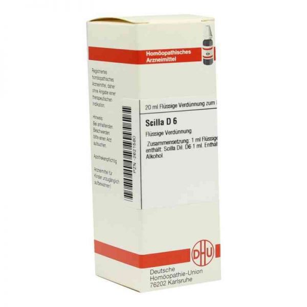 Scilla D 6 Dilution (20 ml)