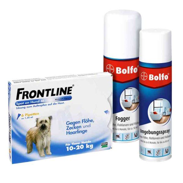 Anti-Floh Set für Hunde Frontline Spot on H 20 veterinär Lösung (1 stk)