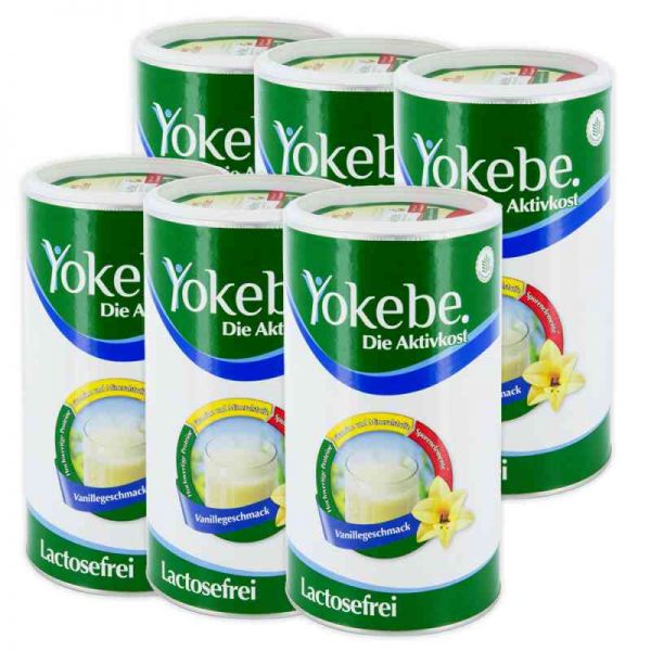 Yokebe Lactosefrei Vanille Pulver (6x500 g)