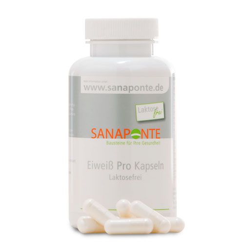 Sanaponte Eiweiß Pro Kapseln laktosefrei, 90 ST