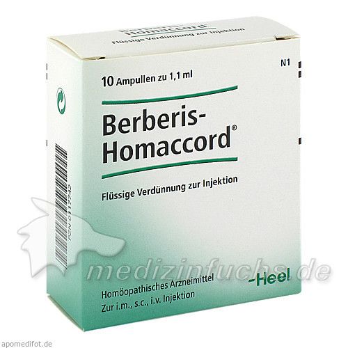 BERBERIS HOMACCORD, 10 ST