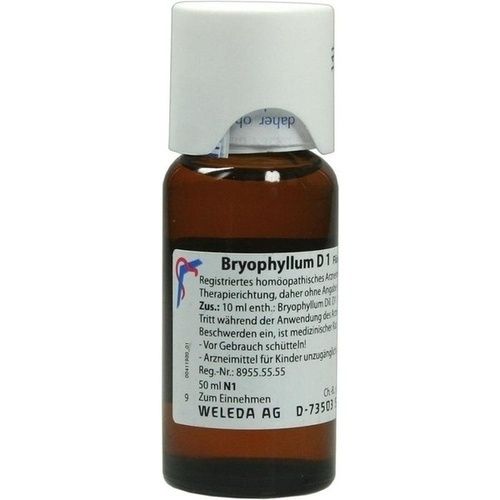 BRYOPHYLLUM D 1, 50 ML