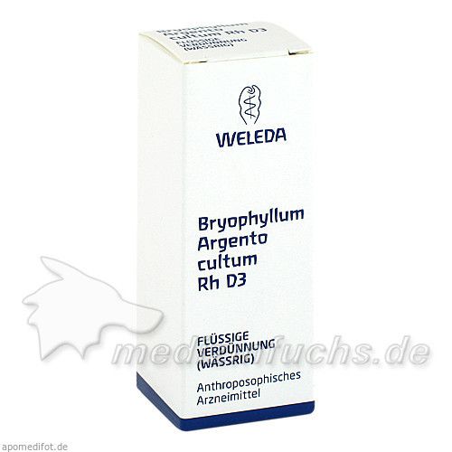 BRYOPHYLLUM ARG CUL RH D 3, 20 ML