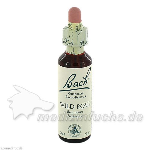 Bach-Blüte Wild Rose, 20 ML