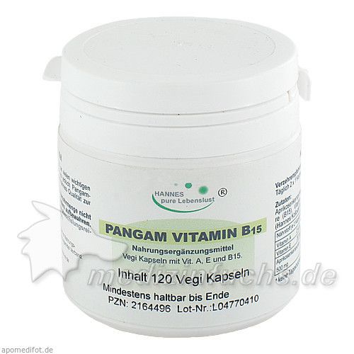 Pangam Vitamin B15, 120 ST