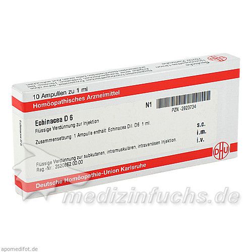 ECHINACEA HAB D 6 Ampullen, 10X1 ML