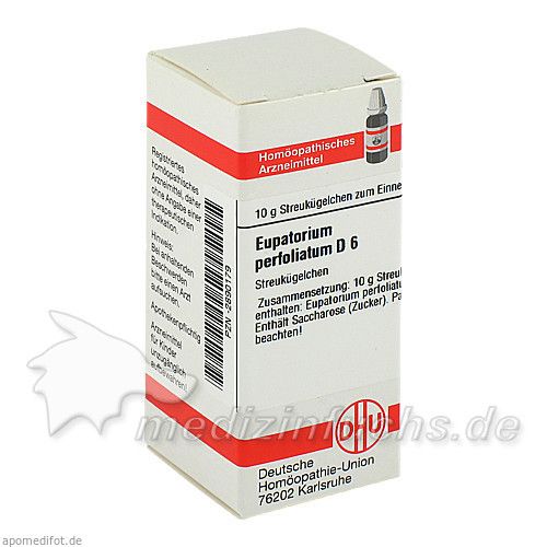 EUPATORIUM PERF D 6, 10 G