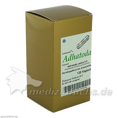 Adhatoda, 120 ST