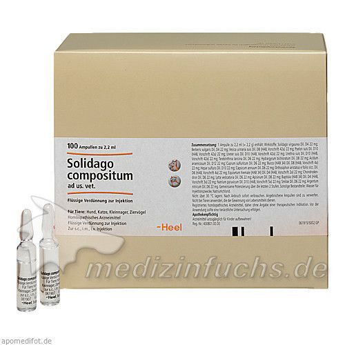 Solidago comp. Heel, 100 ST