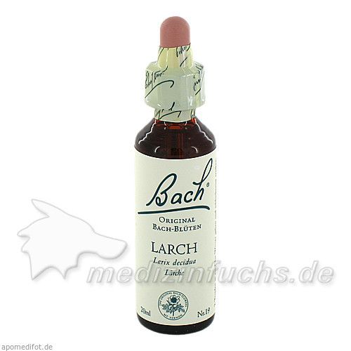 Bach-Blüte Larch, 20 ML