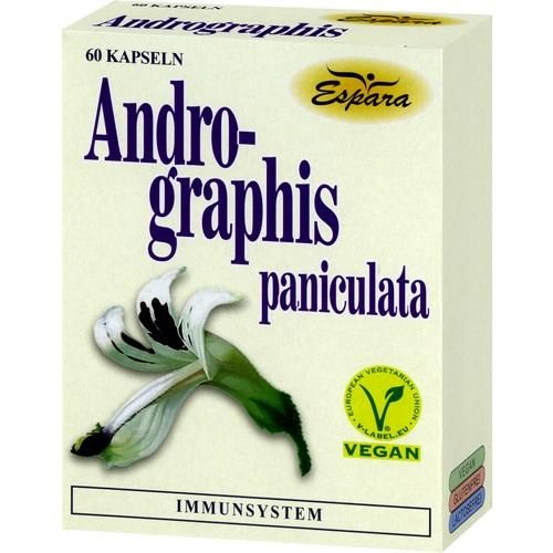 Andrographis paniculata, 60 ST