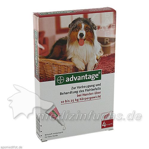 ADVANTAGE 250 L, 4 ST